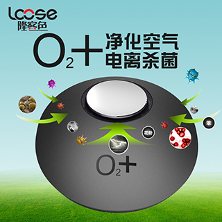 RK-O2+DM1 车载空气净化器